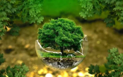 ISO 14001 Manajemen Lingkungan Penting