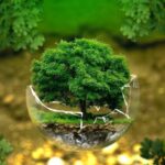 Sertifikasi ISO 14001-2015: Rahasia Komitmen Perusahaan Anda Terhadap Lingkungan!