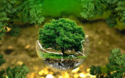 Sertifikasi ISO 14001-2015: Rahasia Komitmen Perusahaan Anda Terhadap Lingkungan!