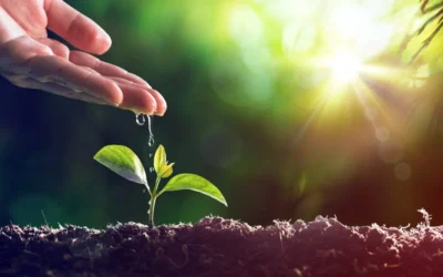 6 Sertifikasi ISO Paling Populer di Indonesia