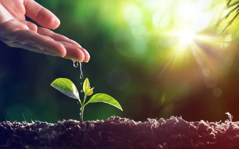 6 Sertifikasi ISO Paling Populer di Indonesia