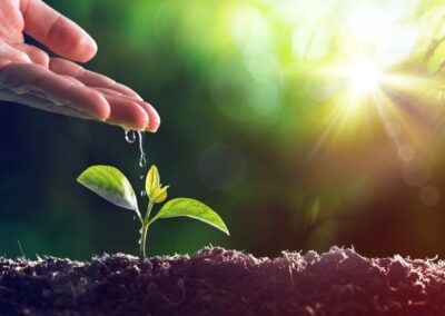 Sertifikasi ISO 14001 Sistem Manajemen Lingkungan Sangat Penting