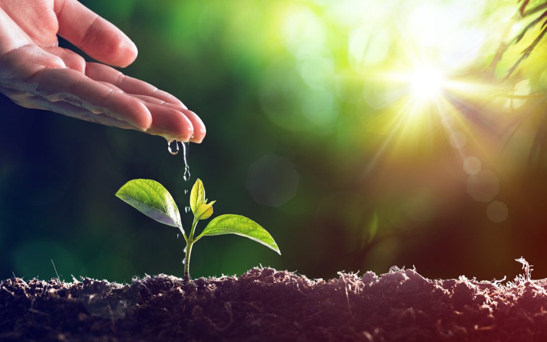 Sertifikasi ISO 14001 Sistem Manajemen Lingkungan